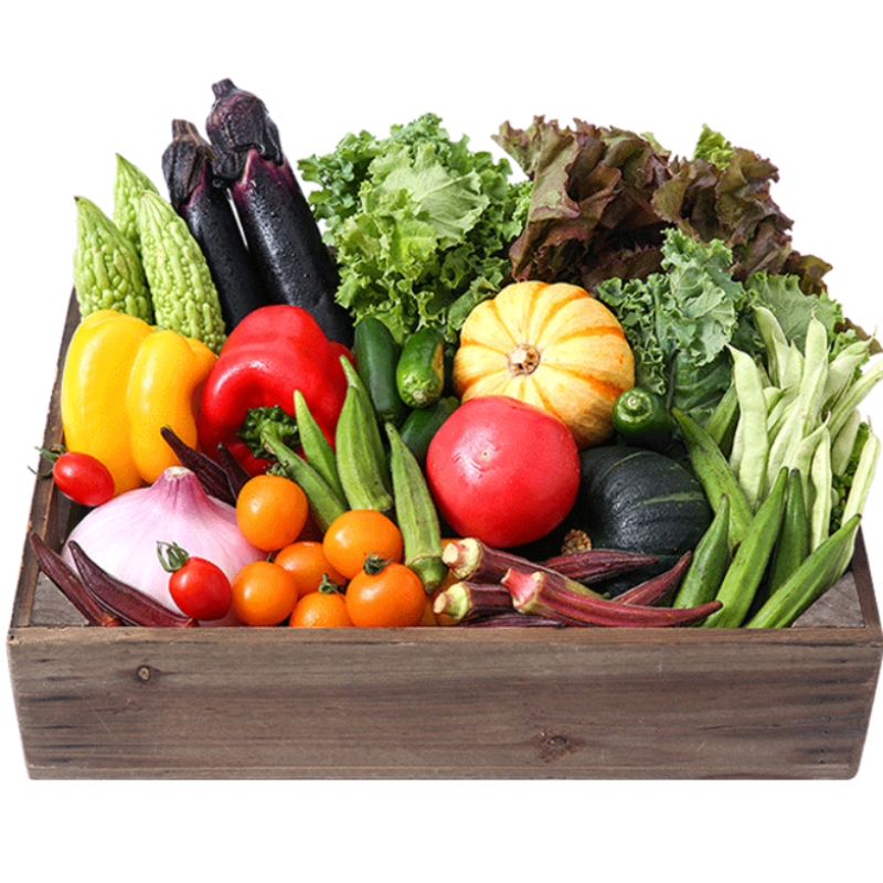 旭耕品牌有机蔬菜套餐价格趋势及用户评测|叶菜类价格分析助手