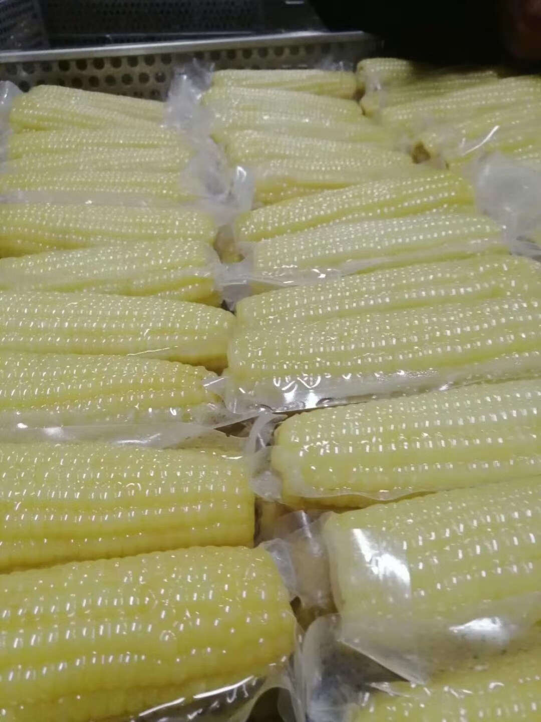 8支白300克每件6斤左右