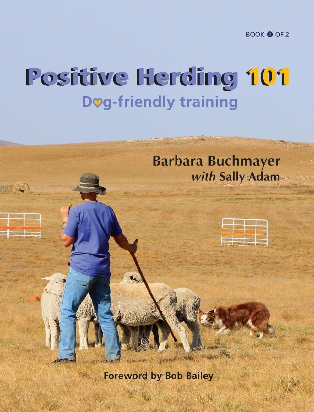 预售 按需印刷 positive herding 101