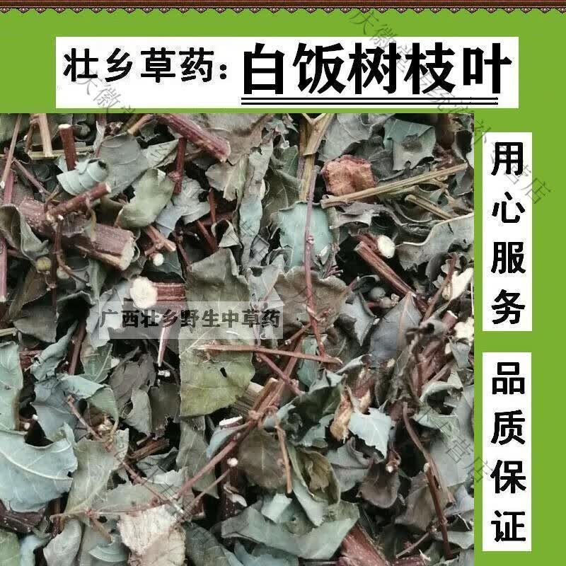 北京同仁堂壮乡白饭树枝叶 鱼眼木 白倍子 薏米蔃 枝叶切段干品500g