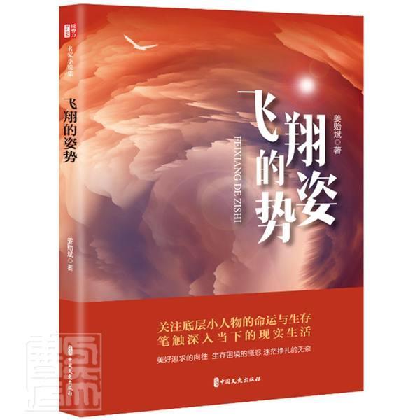 飞的姿势姜贻斌中国文史出版社9787520531221 小说书籍