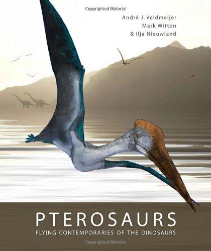 预订pterosaurs