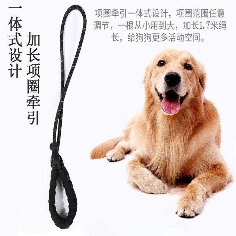 拉维佩特(LOVINGPET)p绳中型犬 柯基牵引绳P链遛狗绳泰迪比熊牵引绳狗绳p绳小型犬 红(2.0M) M(1.0)【参考15-40斤狗狗】
