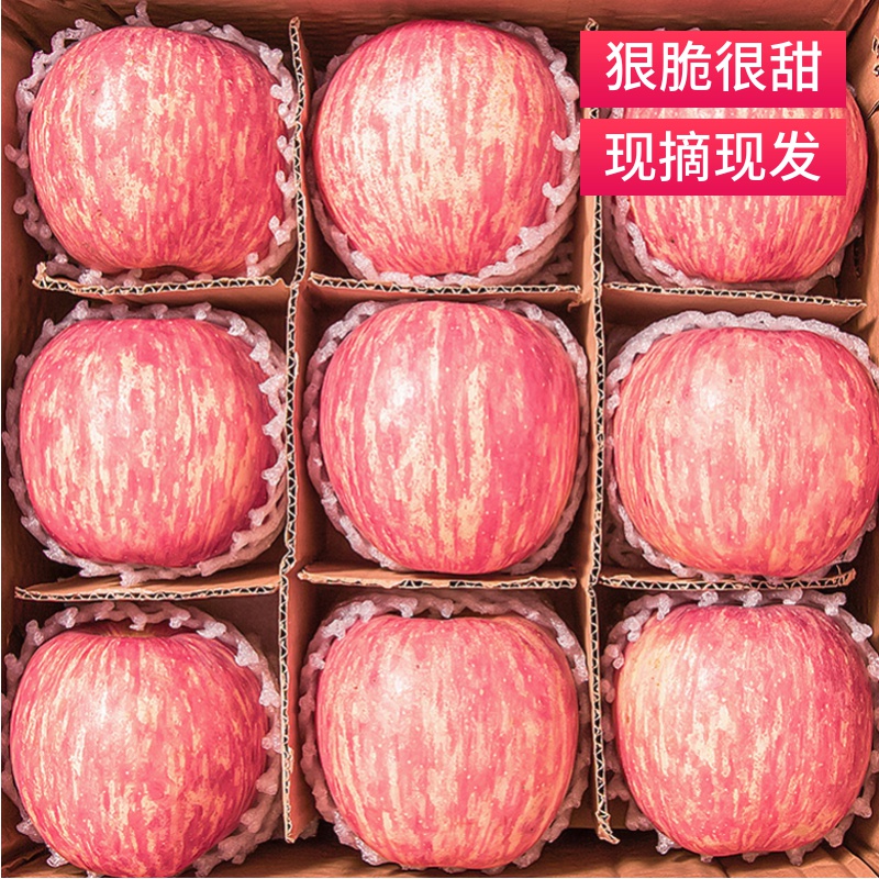 骄瑰 精选品质 正宗洛川红富士苹果新鲜水果应季脆甜 9斤 85-90mm