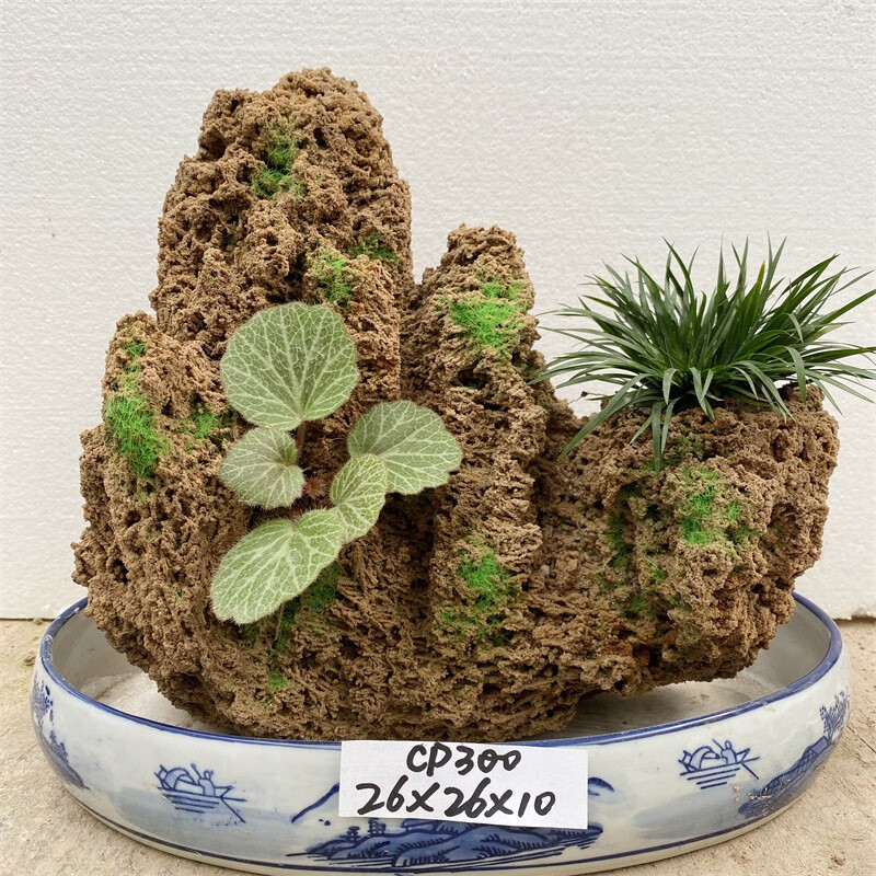 水石 鑑賞石 霊石 盆石 盆景 蘭鉢 美石 盆栽 添景 愛石家放出品 遠山石 石