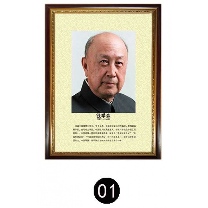 科学家装饰画名人简介挂画科学家爱因斯坦钟南山袁隆平钱学森伟人教室
