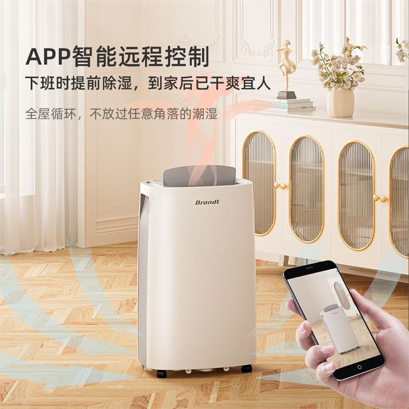 白朗（Brandt）除湿机/抽湿机家用卧室地下室轻音干衣除潮干燥机吸湿除湿器 22L-带UV除菌-D22L