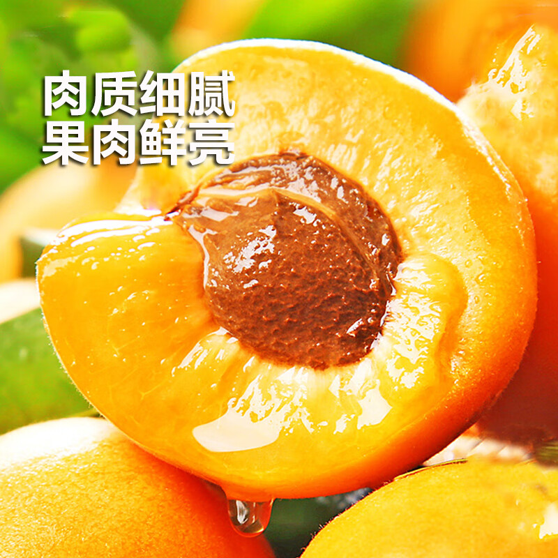 岸上人家山西大黄杏当季新鲜水果 净重 2斤