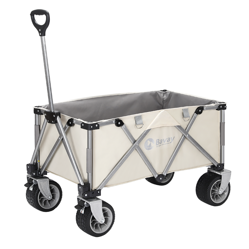 BAVAY£¶ӪӪس˹ƳF01 629Ԫ()