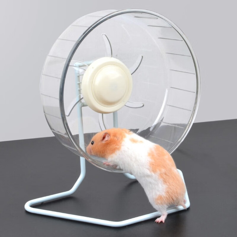 共度(gong du)仓鼠跑轮 玩具 仓鼠滚球滚轮 龙猫转轮金丝熊运动球