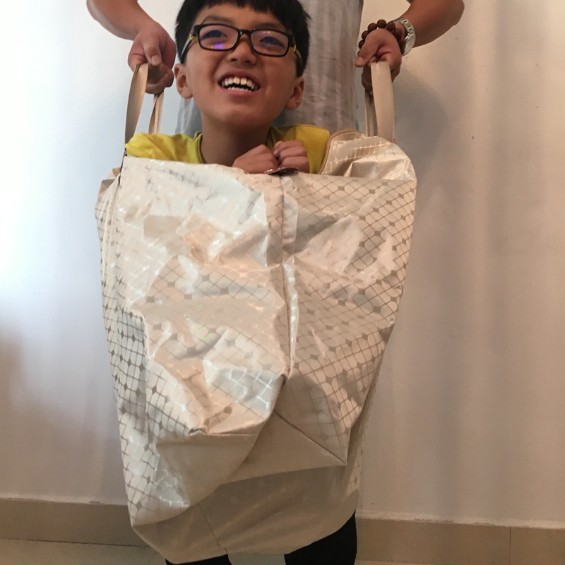 XMSJ被子收纳袋 衣服打包袋幼儿园搬家神器 行李袋装棉被的袋子整理 紫砂色 普通款 小号(装床品4件套)