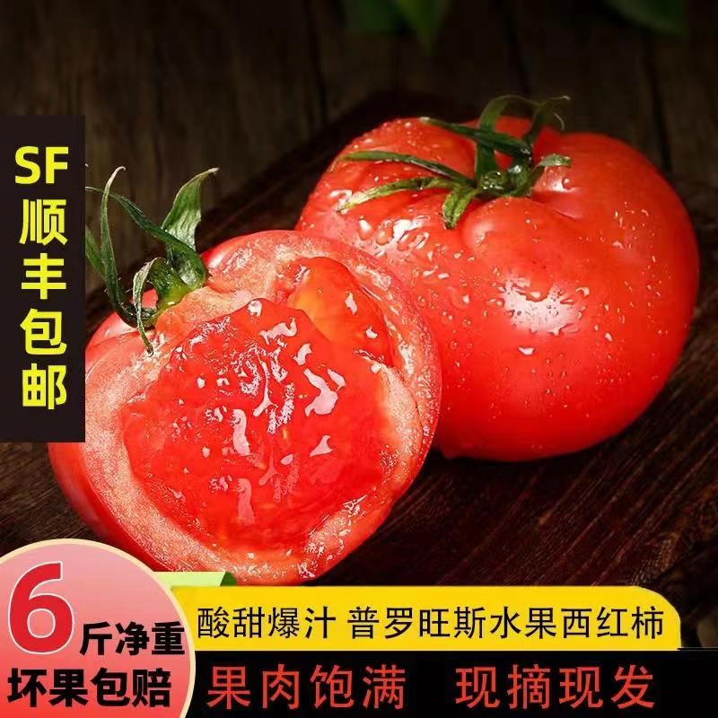 京东查茄果瓜类价格走势|茄果瓜类价格走势