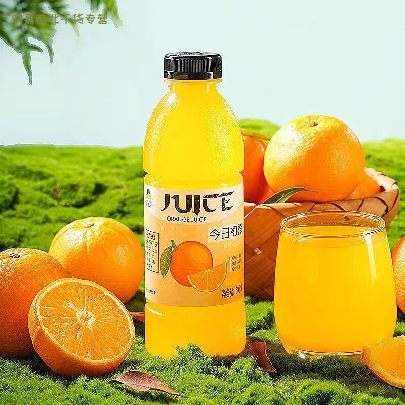 食芳溢益正元初榨饮料600复合果汁饮品甜橙白桃杨梅猕猴桃juice果汁 甜橙600ml4瓶
