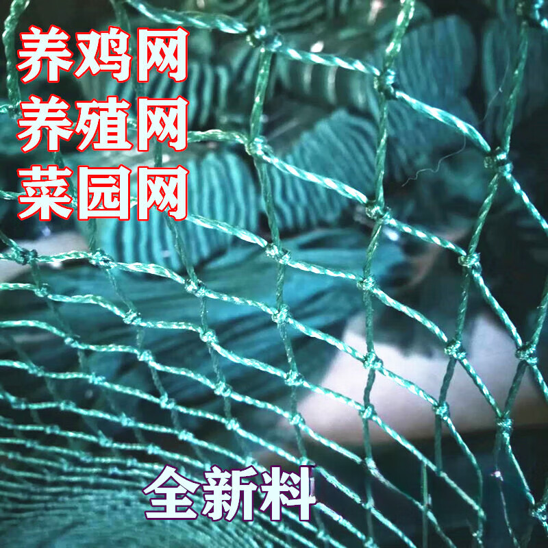 2025美网公开赛直播_US Open赛程比分签表一览 - 美网中文网焦科维奇强势晋级美网首轮轻取美国选手钱