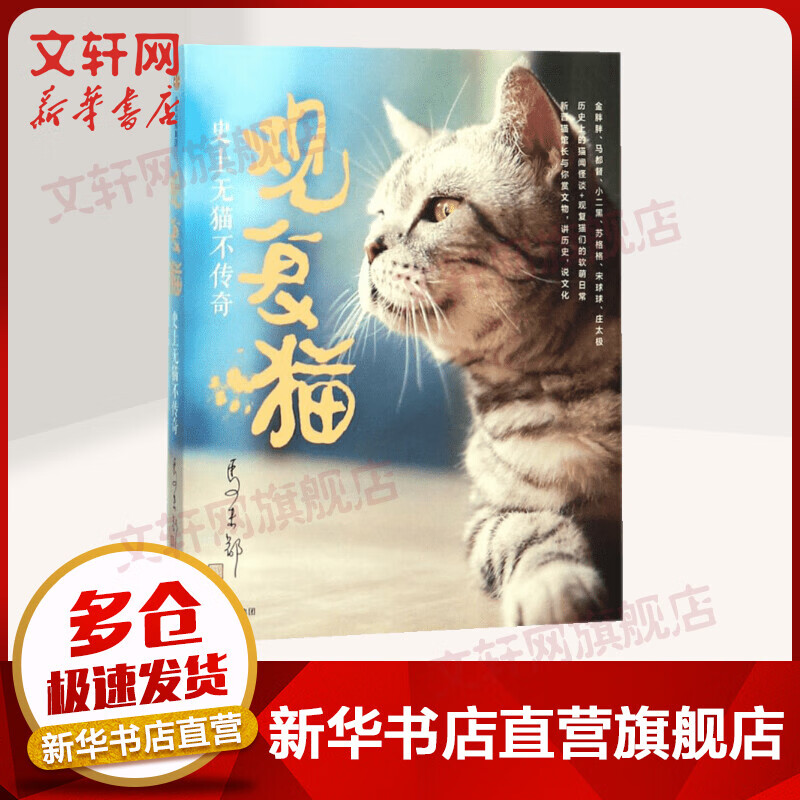 观复猫 史上无猫不传奇