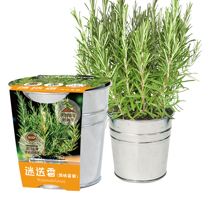 买入黄金？|黄金价格走势&预测|特殊商品怎么才能买到最低价