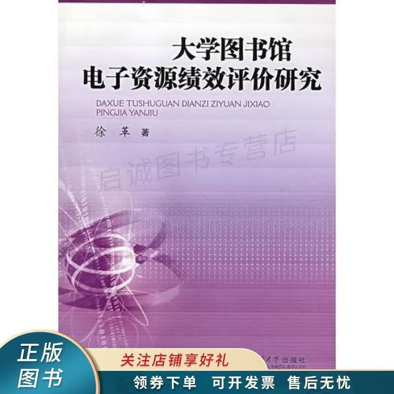 大学图书馆电子资源绩效评价研究