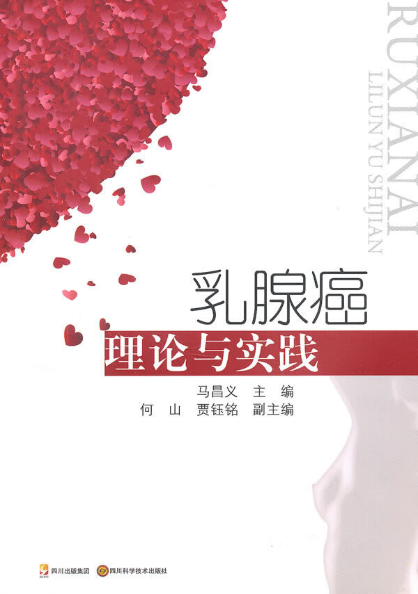 乳腺癌理论与实践【正版图书】