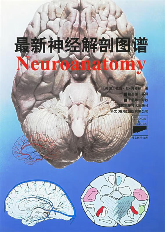 神经解剖图谱