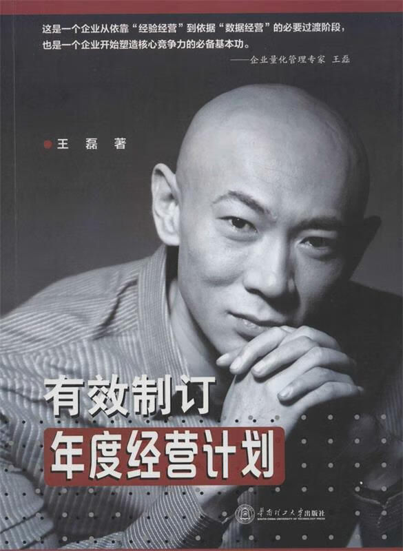 有效制订年度经营计划 王磊 著