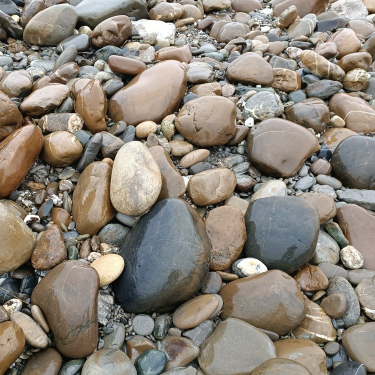 樱笋年光溪流河滩压菜的腌菜石腌肉泡菜坛子大块家庭压菜大鹅卵石装饰
