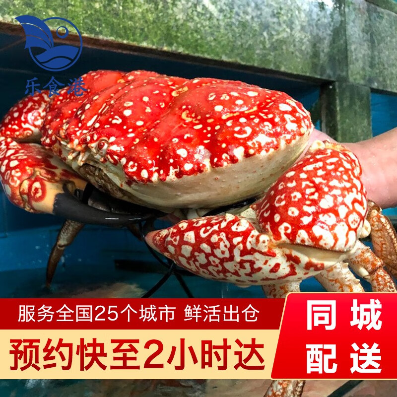 【活鲜】乐食港 澳洲进口鲜活 皇帝蟹 拟滨蟹大螃蟹 9.8-10.2斤/1只（联系客服配送）