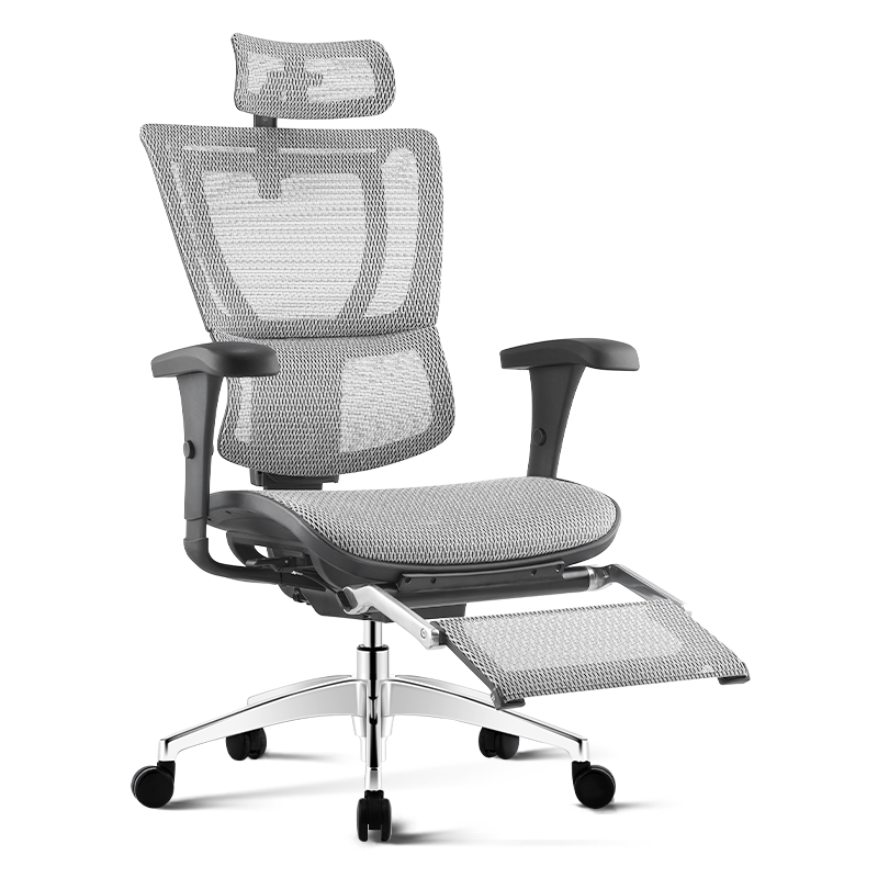 Ergonor保友优b电脑椅人体工学椅家用电竞椅办公椅子靠背椅老板椅 银白色(美国网)+躺舒宝 升级款