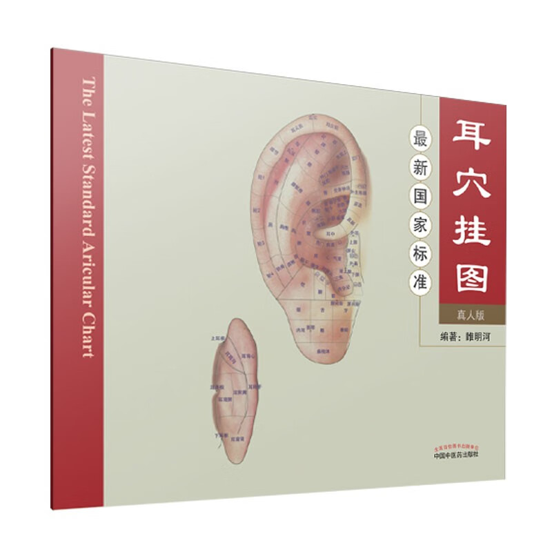 国家标准耳穴挂图(真人版) 睢明河 著 中国中医药出版社 耳疗穴位图书