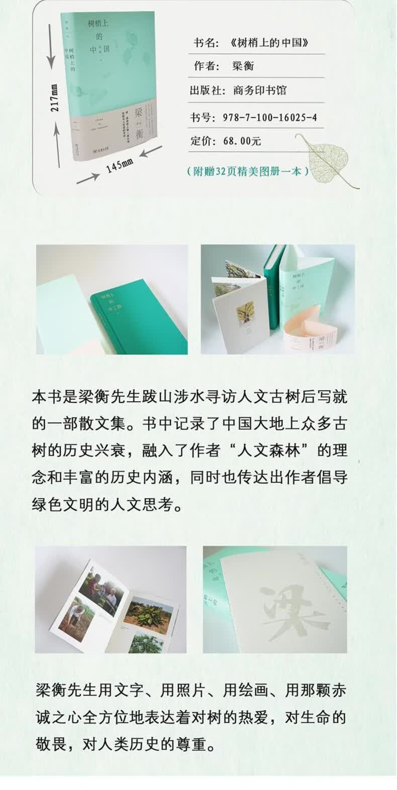 树梢上的中国
