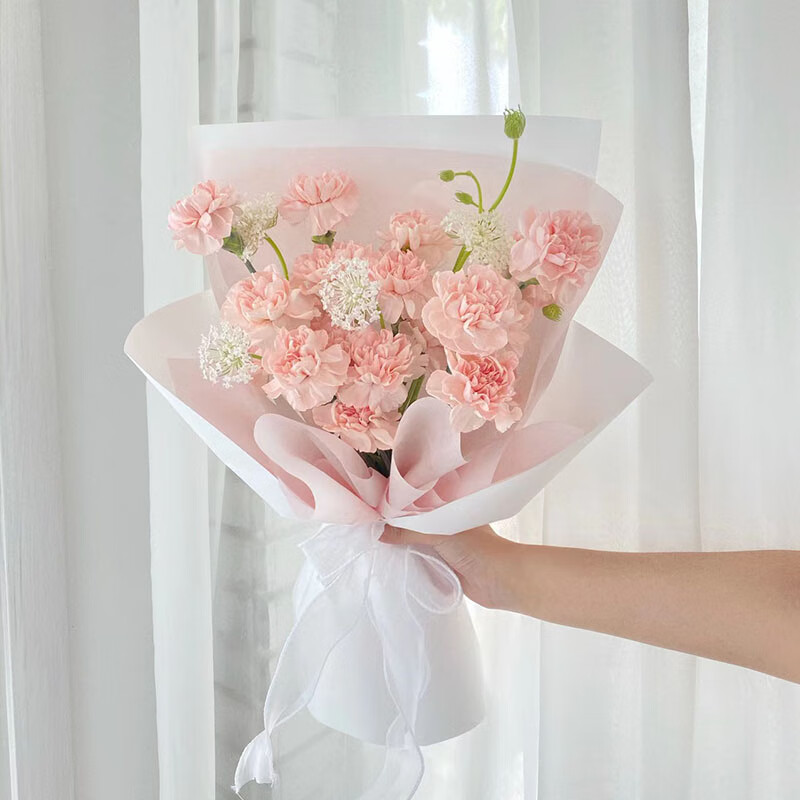 宠小宝鲜花速递康乃馨花束生日礼物妈妈母亲节探望送老师全国同城配送