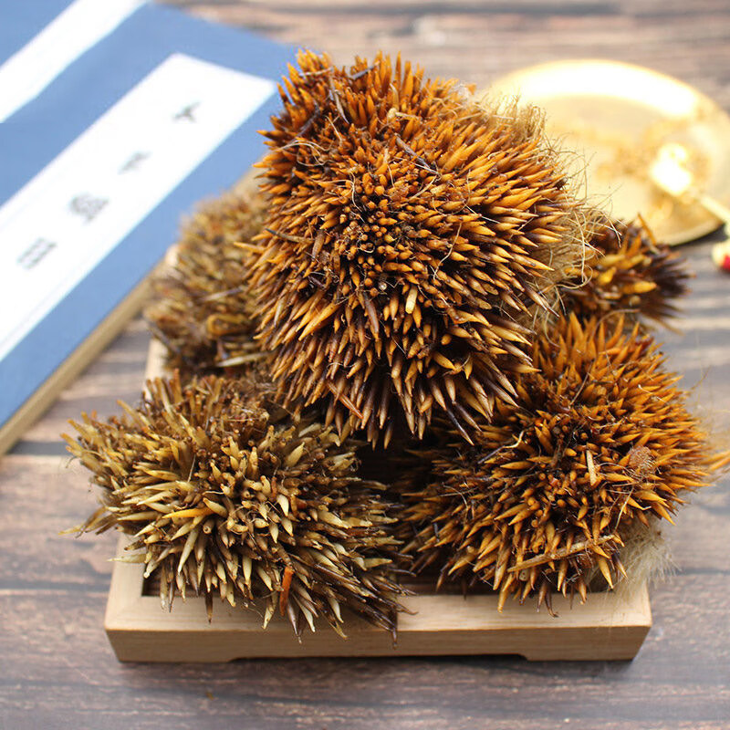 刺猬皮中材500克级仙人衣猬皮刺鼠皮刺球子皮猬鼠皮毛刺干货 体验装