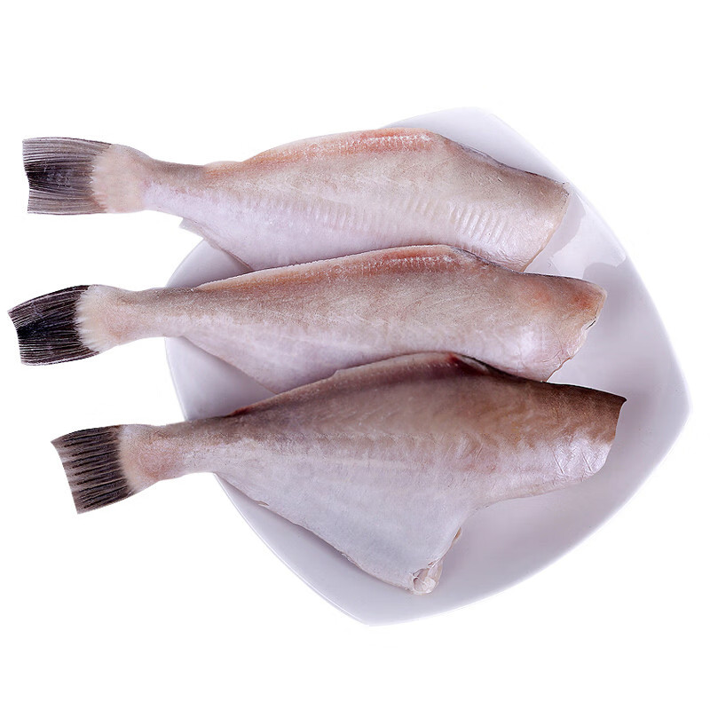品京鲜 海鲜水产中小号马面鱼 耗儿鱼火锅食材 剥皮鱼橡皮鱼1000g