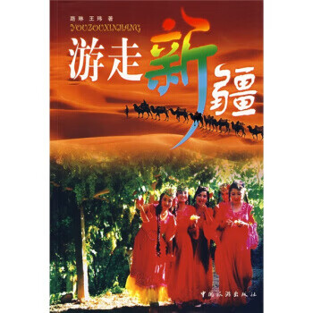 游走【正版图书】