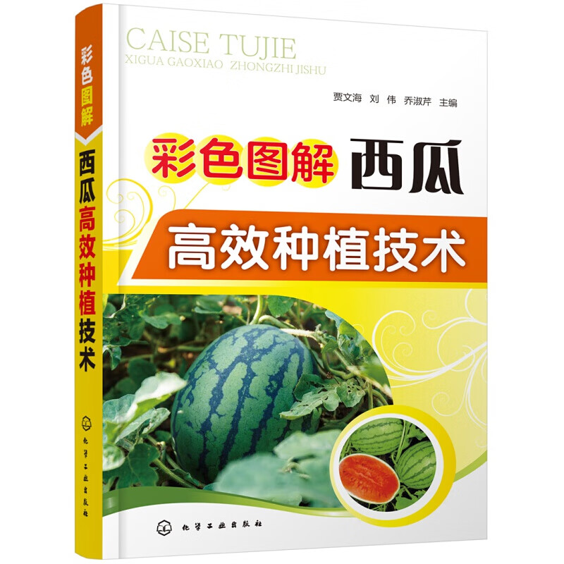 彩色图解西瓜高效种植技术 大棚西瓜种植书籍 棚室西瓜高效栽培 西瓜栽培模式育苗技术 西瓜露地栽培技术 西瓜种植栽培技术大全书籍 西瓜育苗育种教程 西瓜病虫害防治技 水果种植技术书籍 农业书籍