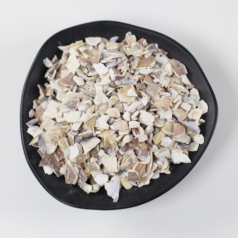 北京同仁堂娄脊堂 海壳中药材店铺500克散装海蛤壳海哈壳文蛤壳青蛤壳