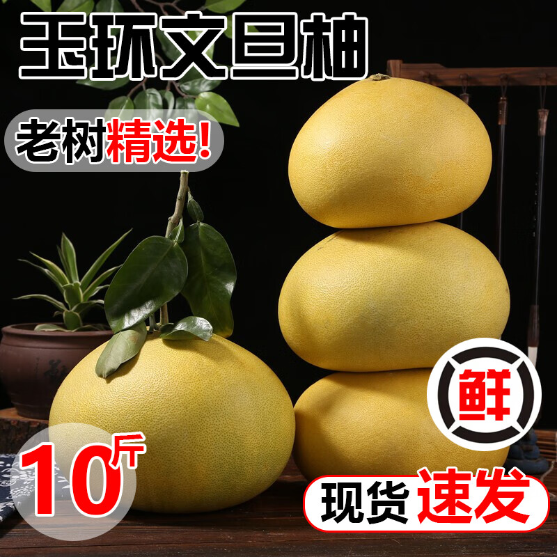 台州玉环大文旦柚新鲜时令水果浙江楚门特产白心冰糖柚老树蜜柚 5斤装