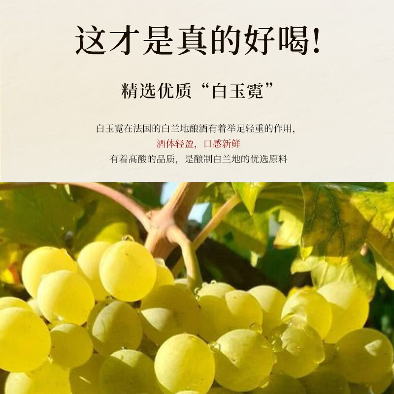 派斯顿法国进口白兰地XO洋酒微醺便利店调酒基酒调配鸡尾酒礼盒装送礼 蓝轩单支装 700mL 1瓶