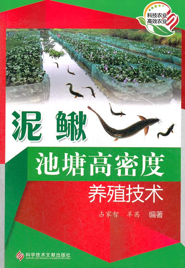 泥鳅池塘高密度养殖技术