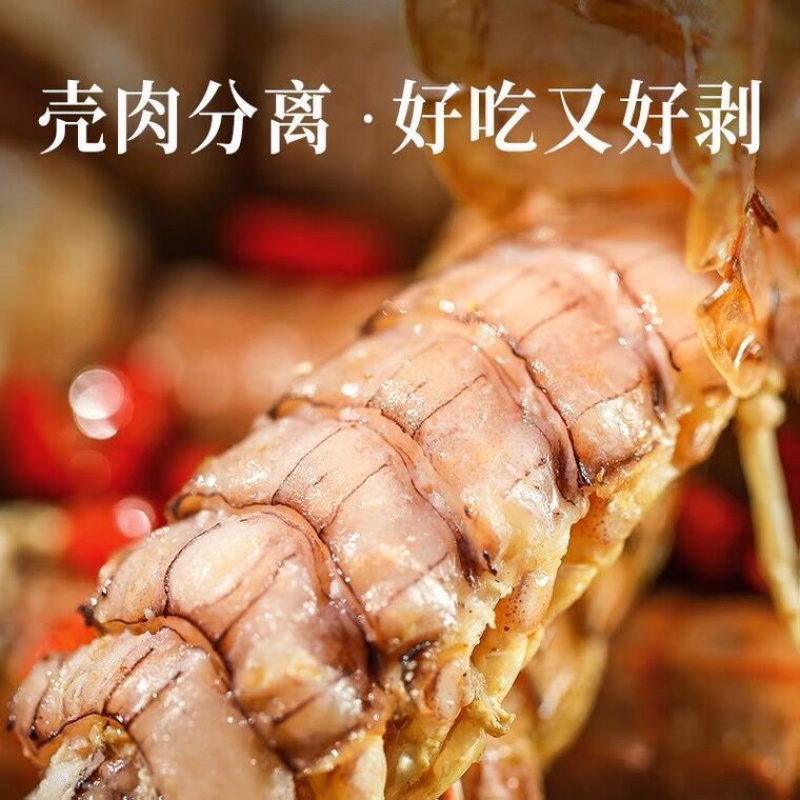 海鲜皮皮虾鲜活熟冻全母特大虾姑超大虾爬鲜活濑尿虾超肥昌隆福记