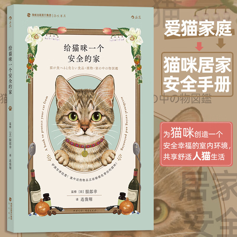 给猫咪一个安全的家