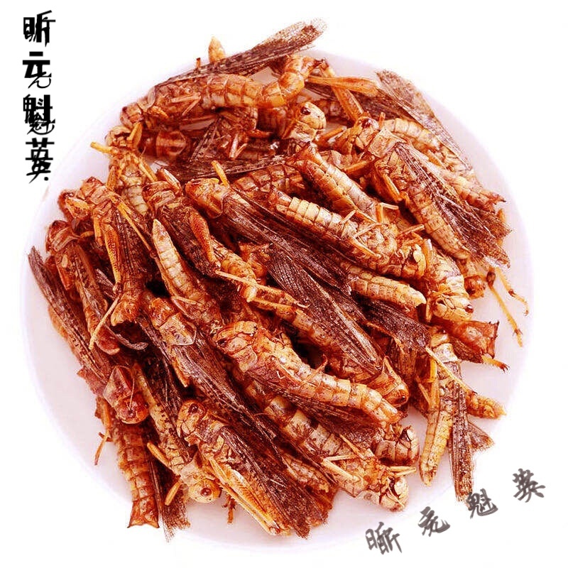 巢浩新鲜香辣蝗虫油炸蚂蚱即食零食昆虫活体蚱蜢虫子美食小吃 试吃