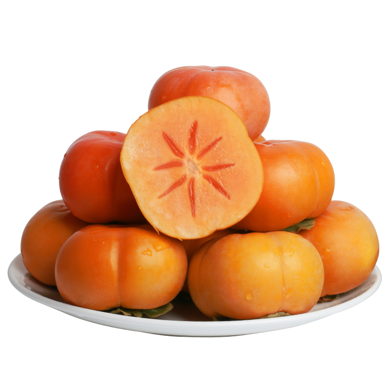 ùܼҴɿӹ𵱼ˮժӲ 570mm+Ʒ