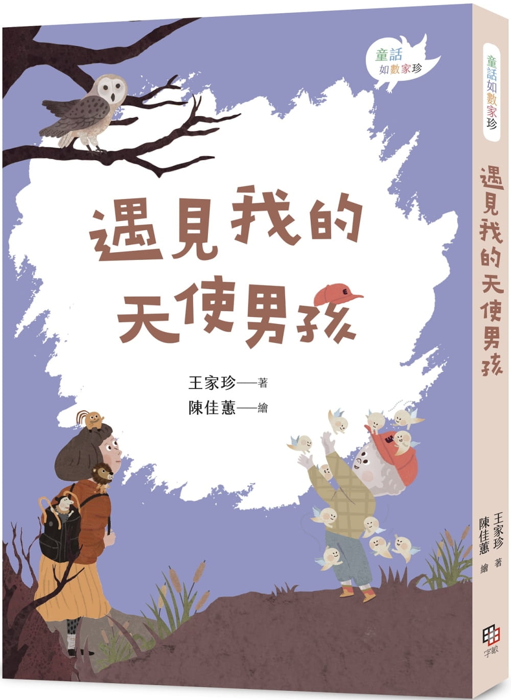 预售 王家珍 遇见我的天使男孩 字亩文化