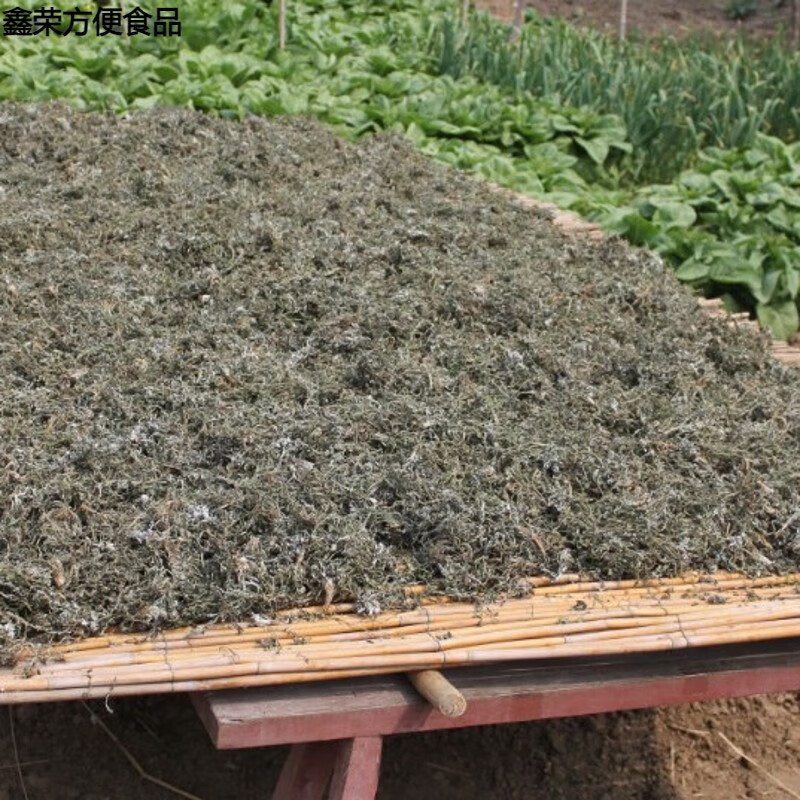 蜜叫新灌南紫花苦菜(苦菜)灌南苦菜紫花苦菜茶赠红糖