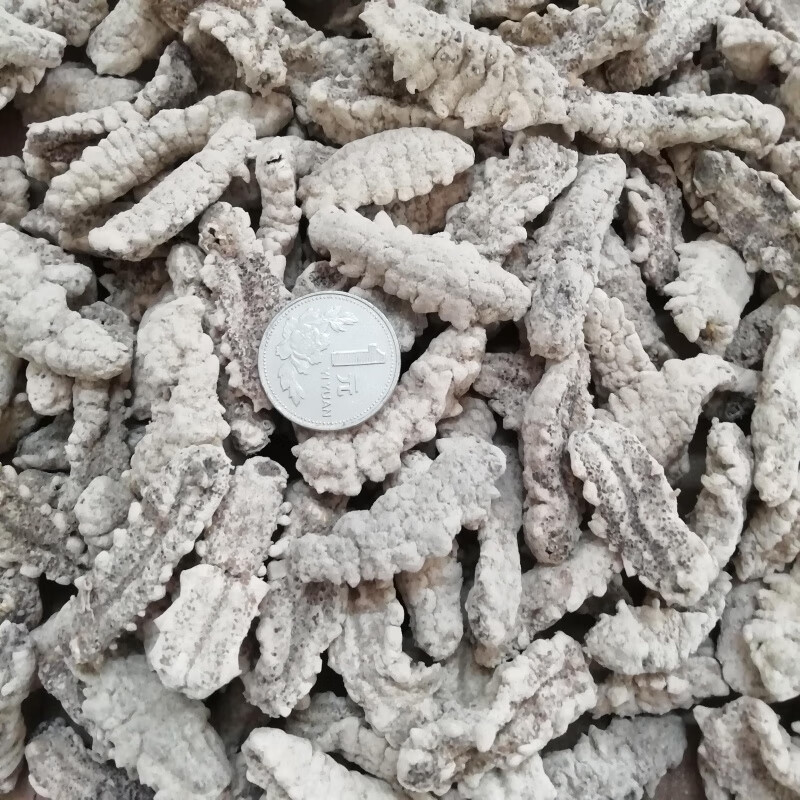 tlxt黄玉参淡干刺参海参干货即食海参海参淡干海参 30克黄玉试吃装