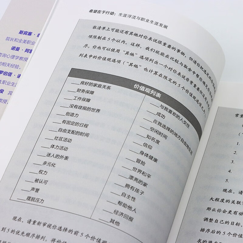 希望在于行动：生涯浮流与职业生涯发展（智元微库出品）