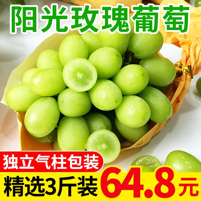 京东视频商品 2021-12-24 - 第21张  | 最新购物优惠券