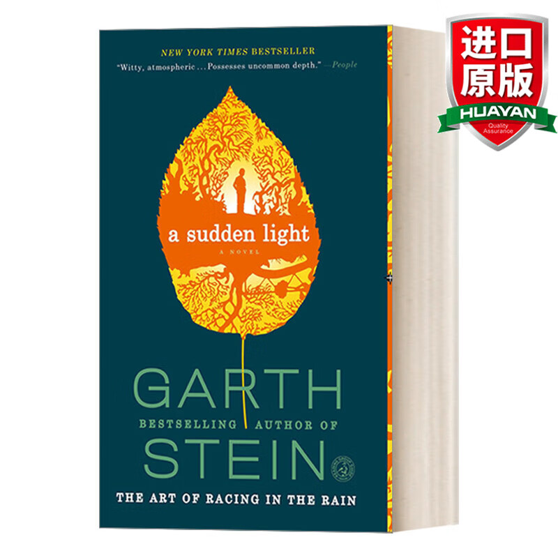 英文原版小说 穿过森林的男孩 加思·斯坦 a sudden light 英文版