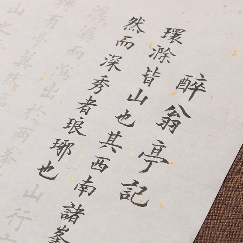 醉翁亭记小楷描红字帖 毛笔书法练习临摹描红洒银宣纸田英章欧体