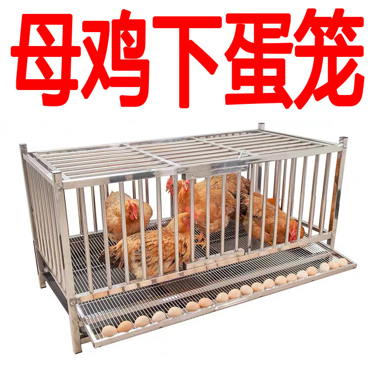 长95厘米单笼常规滚蛋网蛋笼 带4个万向轮